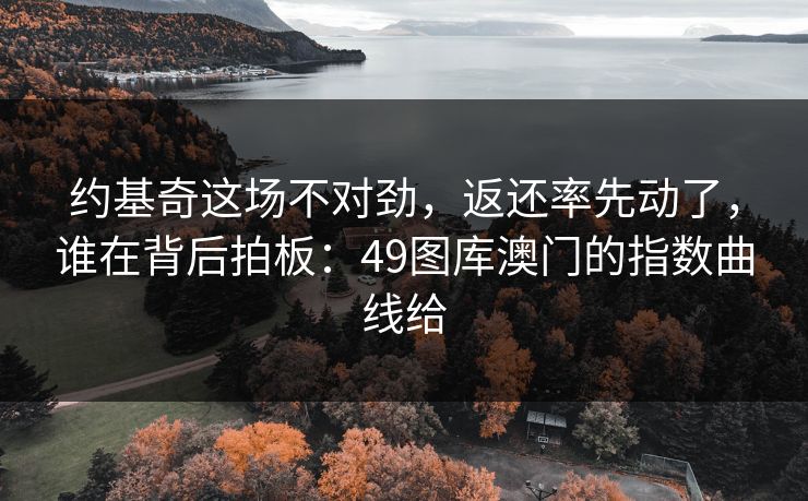 约基奇这场不对劲，返还率先动了，谁在背后拍板：49图库澳门的指数曲线给
