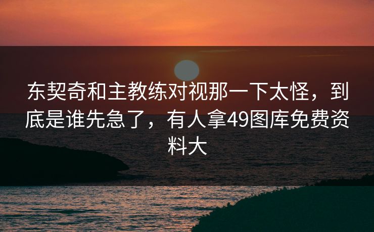 东契奇和主教练对视那一下太怪，到底是谁先急了，有人拿49图库免费资料大