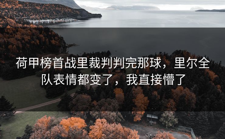 荷甲榜首战里裁判判完那球，里尔全队表情都变了，我直接懵了