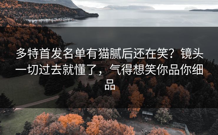 多特首发名单有猫腻后还在笑？镜头一切过去就懂了，气得想笑你品你细品