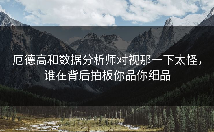 厄德高和数据分析师对视那一下太怪，谁在背后拍板你品你细品