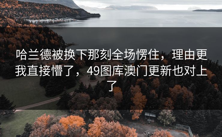 哈兰德被换下那刻全场愣住，理由更我直接懵了，49图库澳门更新也对上了